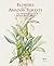 Flowers of the Amazon Forest: The Botanical Art of Margaret Mee