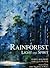The Rainforest: Light and Spirit