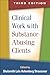 Clinical Work with Substance-Abusing Clients by Shulamith Lala Ashenberg St...