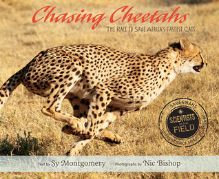 Chasing Cheetahs: The Race to Save Africa's Fastest Cat (Scientists in the Field Series)