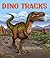 Dino Tracks