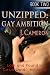 Unzipped: Gay Ambition Lost and Found in La La Land. My Story. (Gay Ambition, # 2)