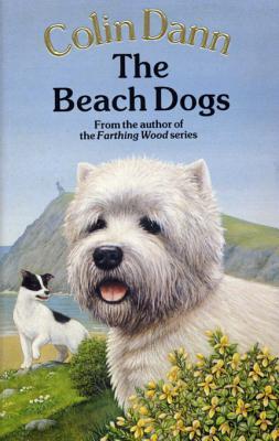 Beach Dogs (Paperback)