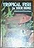 Tropical Fish in Your Home