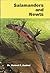 Salamanders and Newts