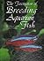 The Fascination of Breeding Aquarium Fish