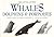 The Little Guides: Whales, Dolphins, and Porpoises (Little Guides)