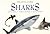 The Little Guides: Sharks (Little Guides)