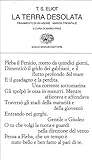La terra desolata...