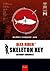 Skeleton Key (Alex Rider #3)