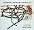 Underground Maps Unraveled by Maxwell J. Roberts