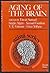 Aging Of Brain
