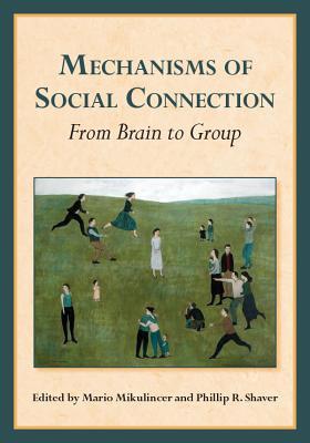 Mechanisms of Social Connection: From Brain to Group (Herzliya Series on Personality and Social Psychology)