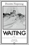 Waiting by Dumitru Tsepeneag