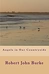 Angels in Our Cou...