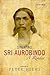 Situating Sri Aurobindo: A ...