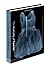 The Anatomy of Fashion by Colin McDowell