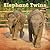 Elephant Twins (Penguin Core Concepts)