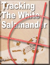 Tracking the White Salamander (Paperback)