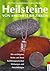 Heilsteine