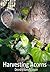 Harvesting Acorns
