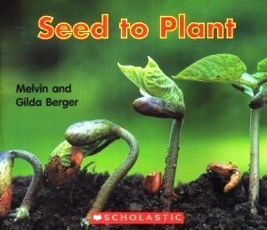 Seed to Plant (Paperback)