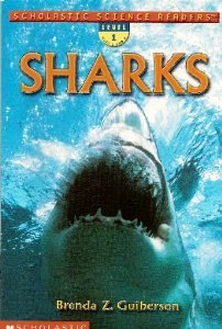 Sharks (Paperback)