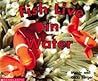 Fish Live in Water (Scholastic Time-to-Discover Readers)