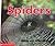 Spiders (Scholastic Time-to-Discover Readers)