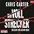 Der Vollstrecker (Robert Hunter, #2)
