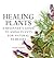 Healing Plants: A Beginner's Guide to Using Plants for Natural Remedies