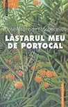 Lăstarul meu de p...