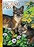 Island Fox by Dawn Navarro Ericson