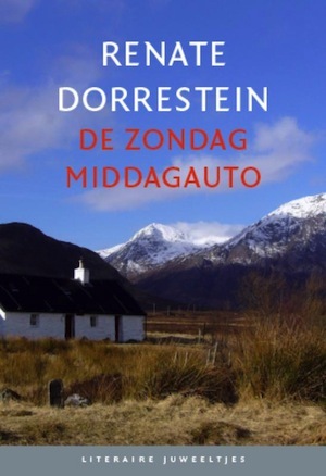 De zondagmiddagauto (Hardcover)
