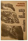 Schite de roman