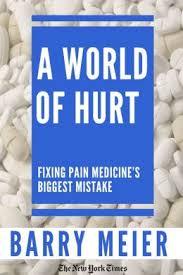 A World of Hurt: Fixing Pain Medicine's Greatest Mistake (Kindle Edition)