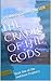 Cradle of the Gods (The Soulstone Prophecy, #1)