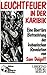 Leuchtfeuer in der Karibik: Ein libertäre Betrachtung der kubanischen Revolution (Edition Schwarze Kirschen) (German Edition)