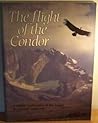 The Flight of the Condor: A Wildlife Exploration of the Andes
