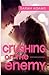 Crushing On The Enemy (Crushing On You) (Volume 1)