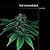 The Cannabible