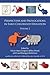 Perspectives and Provocations in Early Childhood Education (Early Childhood Education Assembly, 2)