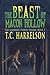 The Beast of Macon Hollow: Book 1 of The Guardian Stones Trilogy