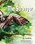 The Stranger
