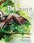The Stranger by Anabella