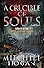 A Crucible of Souls (Sorcery Ascendant Sequence, #1)
