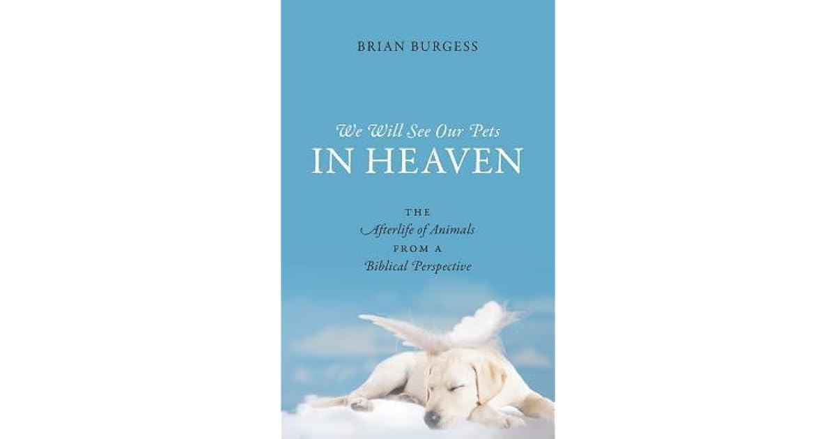 We Will See Our Pets in Heaven The Afterlife of Animals from a