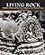 Living Rock: Buddhist, Hind...