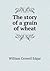 The Story of a Grain of Wheat