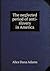 The Neglected Period of Anti-Slavery in America